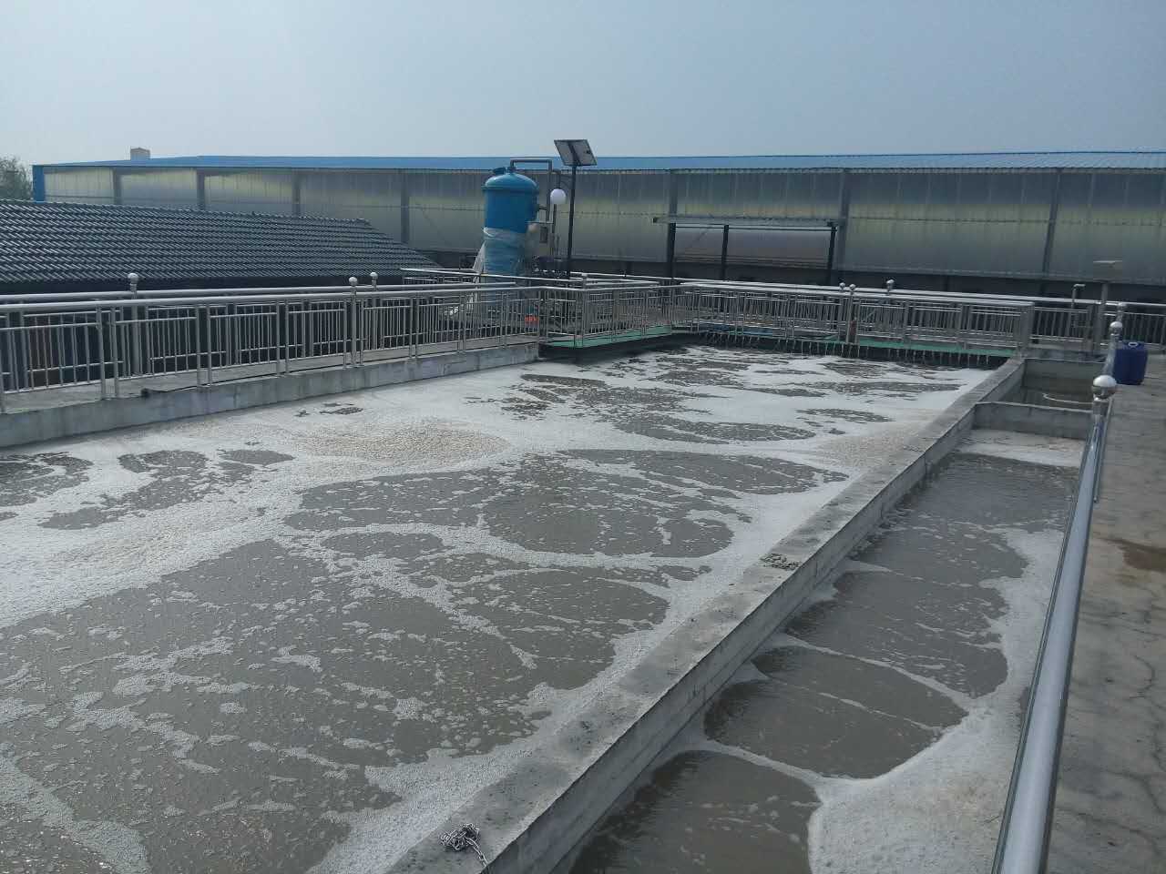 養殖廢水處理